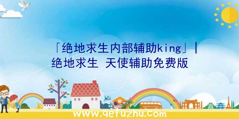 「绝地求生内部辅助king」|绝地求生